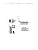 Reagents and Methods for Modulating Gene Expression Related to Hypertension diagram and image