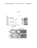 Reagents and Methods for Modulating Gene Expression Related to Hypertension diagram and image