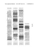 AXMI-028 AND AXMI-029, A FAMILY OF NOVEL DELTA-ENDOTOXIN GENES AND METHODS FOR THEIR USE diagram and image