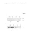 Use of heat-shock protein 27 for cardiovascular disease prevention and treatment diagram and image