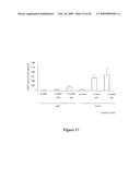 Use of heat-shock protein 27 for cardiovascular disease prevention and treatment diagram and image