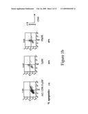 Flt3 inhibitors for immune suppression diagram and image