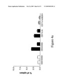 Flt3 inhibitors for immune suppression diagram and image