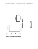 Flt3 inhibitors for immune suppression diagram and image