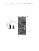 COMPOSITIONS AND THEIR USES DIRECTED TO DIACYLGLYCEROL ACYLTRANSFERASE 1 diagram and image