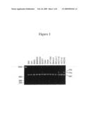 Pot1 alternative splicing variants diagram and image