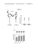 COMPOUNDS diagram and image