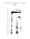 COMPOUNDS diagram and image