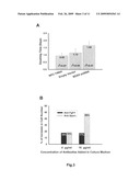 Genetic markers and methods for detecting and treating cancers diagram and image