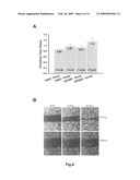 Genetic markers and methods for detecting and treating cancers diagram and image