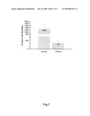 Genetic markers and methods for detecting and treating cancers diagram and image