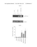 Methods and compositions for delivery of pharmaceutical agents diagram and image