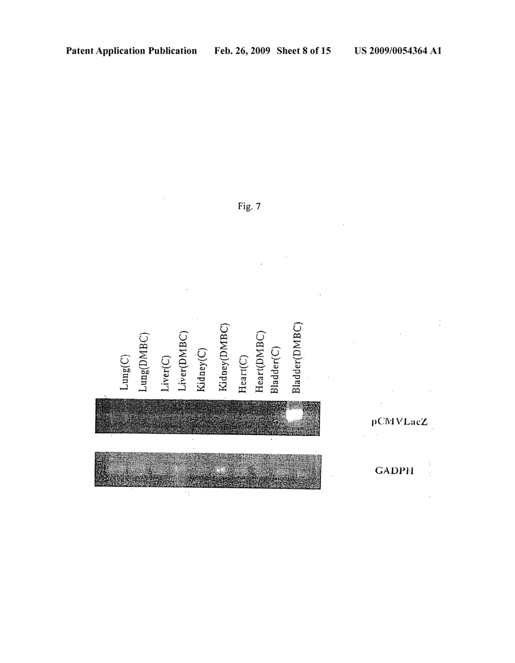 Methods and compositions for delivery of pharmaceutical agents - diagram, schematic, and image 09