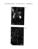 Methods and compositions for delivery of pharmaceutical agents diagram and image