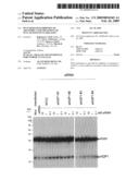 RNAi-MEDIATED INHIBITION OF AQUAPORIN 1 FOR TREATMENT OF OCULAR NEOVASCULARIZATION diagram and image