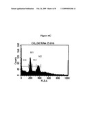 RNAi MEDIATED KNOCKDOWN OF NUMA FOR CANCER THERAPY diagram and image