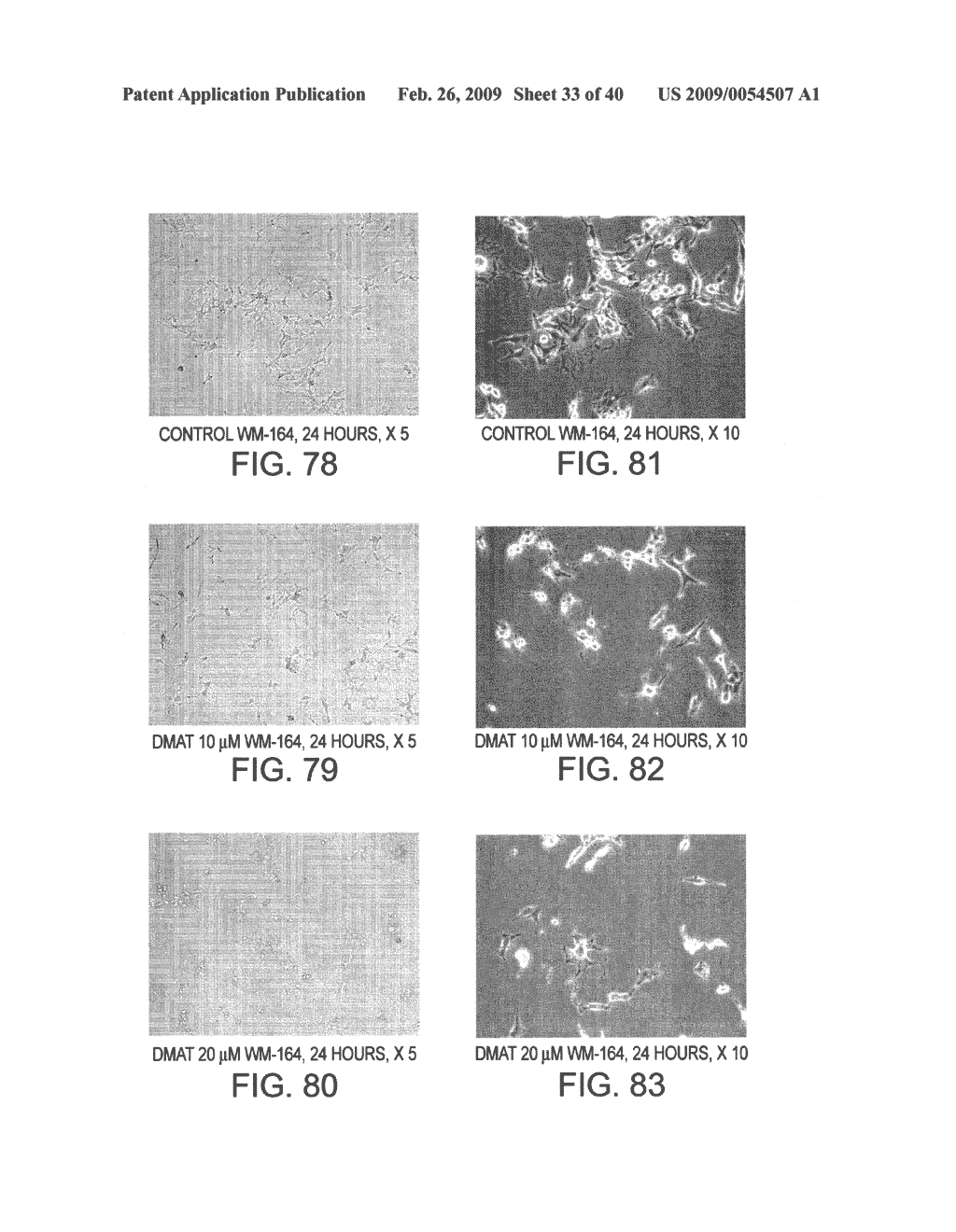 CONTROL OF MALIGNANT CELLS BY KINASE INHIBITION - diagram, schematic, and image 34