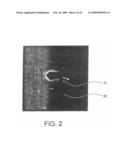 AUTOMOTIVE BODY PANEL CONTAINING THERMALLY EXFOLIATED GRAPHITE OXIDE diagram and image