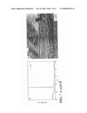 AUTOMOTIVE BODY PANEL CONTAINING THERMALLY EXFOLIATED GRAPHITE OXIDE diagram and image