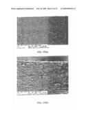 AUTOMOTIVE BODY PANEL CONTAINING THERMALLY EXFOLIATED GRAPHITE OXIDE diagram and image