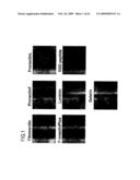 CELL NETWORK ANALYSIS SYSTEM diagram and image