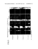 CELL NETWORK ANALYSIS SYSTEM diagram and image