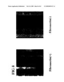 CELL NETWORK ANALYSIS SYSTEM diagram and image