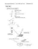 CELL NETWORK ANALYSIS SYSTEM diagram and image