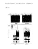 CELL NETWORK ANALYSIS SYSTEM diagram and image