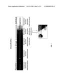 SCALABLE, COMPUTATIONALLY EFFICIENT AND RAPID SIMULATION SUITED TO DECISION SUPPORT, ANALYSIS AND PLANNING diagram and image