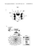 Probe for detection and quantification of nitric oxide, and method for detecting and quantifying nitric oxide using the same diagram and image