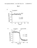 Probe for detection and quantification of nitric oxide, and method for detecting and quantifying nitric oxide using the same diagram and image