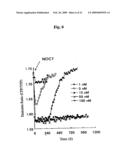 Probe for detection and quantification of nitric oxide, and method for detecting and quantifying nitric oxide using the same diagram and image