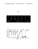 Probe for detection and quantification of nitric oxide, and method for detecting and quantifying nitric oxide using the same diagram and image