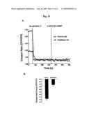 Probe for detection and quantification of nitric oxide, and method for detecting and quantifying nitric oxide using the same diagram and image