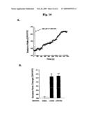 Probe for detection and quantification of nitric oxide, and method for detecting and quantifying nitric oxide using the same diagram and image