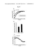 Probe for detection and quantification of nitric oxide, and method for detecting and quantifying nitric oxide using the same diagram and image