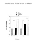 Novel Neural Cell Specific Promoter And Baculovirus And Method For Gene Delivery diagram and image