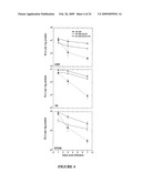 Novel Neural Cell Specific Promoter And Baculovirus And Method For Gene Delivery diagram and image