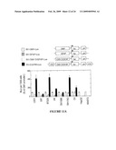 Novel Neural Cell Specific Promoter And Baculovirus And Method For Gene Delivery diagram and image