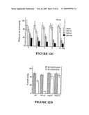 Novel Neural Cell Specific Promoter And Baculovirus And Method For Gene Delivery diagram and image