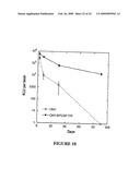 Novel Neural Cell Specific Promoter And Baculovirus And Method For Gene Delivery diagram and image