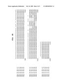 POLYNUCLEOTIDES AND POLYPEPTIDES INVOLVED IN POST-TRANSCRIPTIONAL GENE SILENCING diagram and image