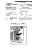 Method for producing direct in vitro flowering and viable seed from cotyledon, radicle, and leaf explants, and plants produced therefrom diagram and image