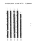 AXMI-028 AND AXMI-029, A FAMILY OF NOVEL DELTA-ENDOTOXIN GENES AND METHODS FOR THEIR USE diagram and image