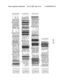 AXMI-028 AND AXMI-029, A FAMILY OF NOVEL DELTA-ENDOTOXIN GENES AND METHODS FOR THEIR USE diagram and image