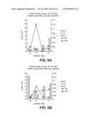 Nucleic acids and proteins associated with sucrose accumulation in coffee diagram and image