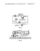 Plant virus transmission inhibitor and methods diagram and image