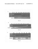 Plant virus transmission inhibitor and methods diagram and image