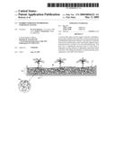 HYBRID COMPOSITE HYDROPONIC SUBSTRATE SYSTEM diagram and image